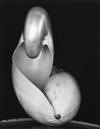 WESTON, EDWARD (1886-1958)/WESTON, COLE (1919-2003) Edward Weston Portfolio.